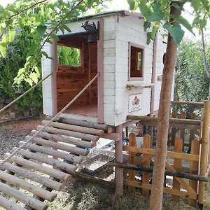  Gospodarstwo agroturystyczne Azienda Agrituristica Le Betulle Włochy